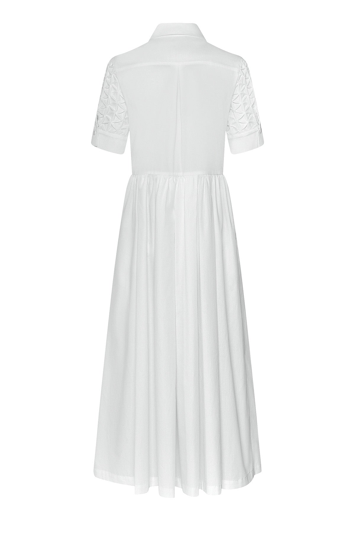 Color 80 - 3 - Haru_80_0003.jpg