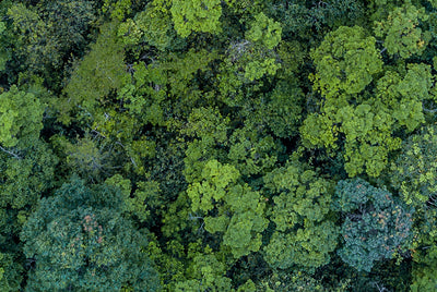 TRAITE LA TERRE COMME TA MAISON